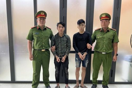 Khởi tố, bắt tạm giam nhiều đối tượng trộm chó, mèo chuyên nghiệp