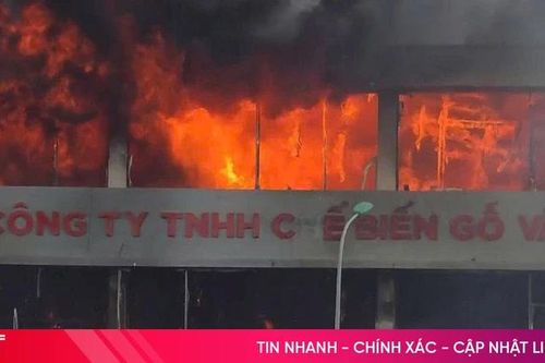 Cháy khu trưng bày sản phẩm gỗ Hào Quang ở phường Thành Sen