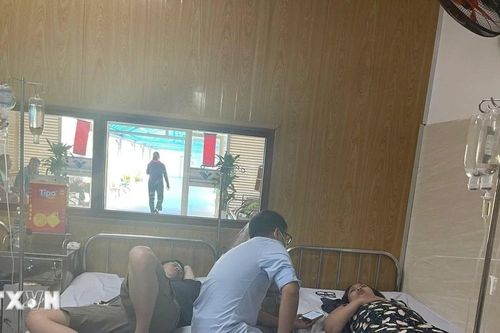 Xử phạt cửa hàng bánh mỳ gây ngộ độc thực phẩm cho hơn 100 người