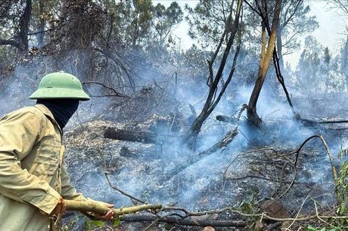 Nghệ An kịp thời dập tắt vụ cháy rừng phía sau núi Mộ Dạ