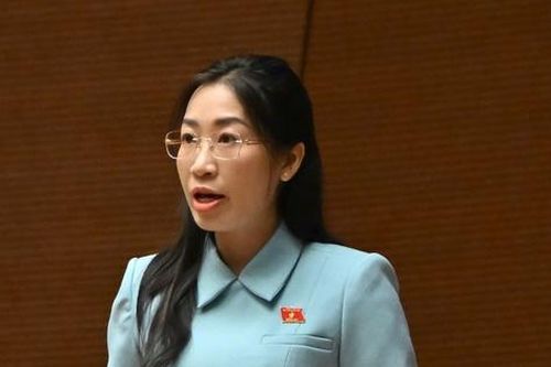 ĐBQH đề nghị bổ sung quy định xử lý trường hợp thông tin công khai không đầy đủ