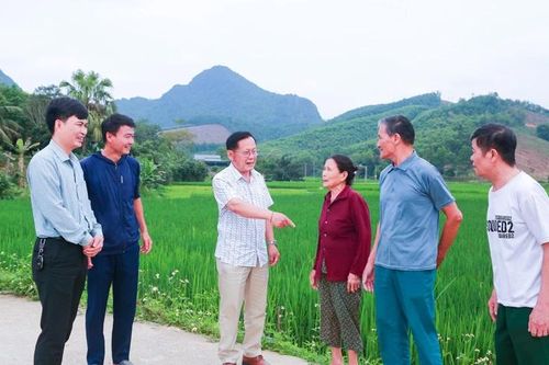 Những người 'đi trước, làm trước'