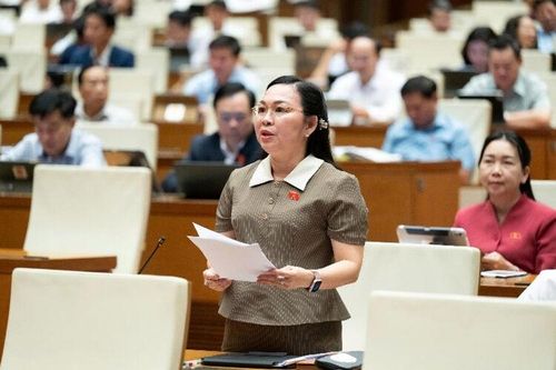 Đại biểu Quốc hội tỉnh An Giang góp ý dự án Luật Tiếp cận thông tin (sửa đổi)