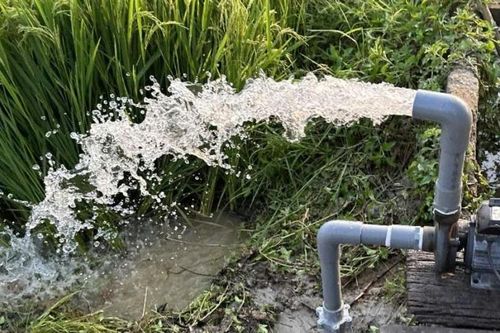 Phường Điện Bàn Đông lắp đặt máy bơm nước 'cứu' lúa