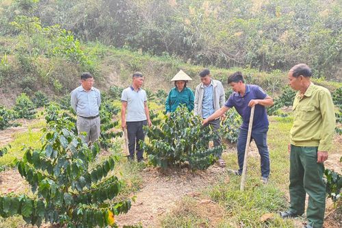 Xóa nghèo từ thay đổi nhận thức