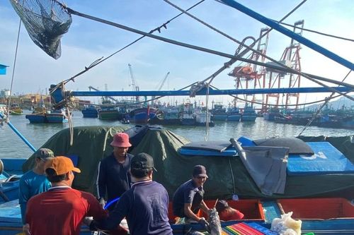 UBND tỉnh Gia Lai chỉ đạo khẩn trương triển khai các chính sách hỗ trợ ngư dân
