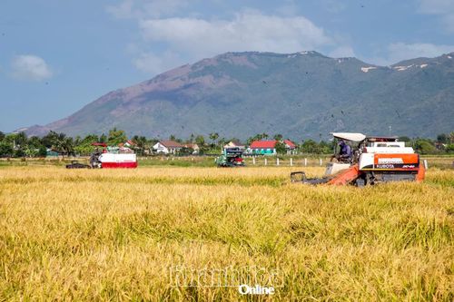 Kiểm tra, giám sát việc đăng ký kinh doanh của doanh nghiệp, hợp tác xã