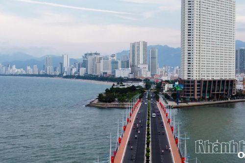 Từ định hướng chiến lược đến những bước đi đầu tiên