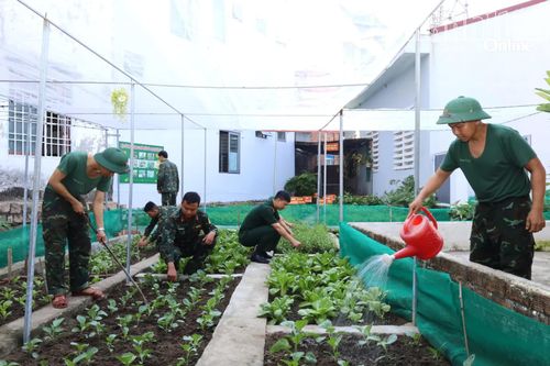 Đại đội Thông tin 18: Tăng gia sản xuất cải thiện đời sống cho chiến sĩ