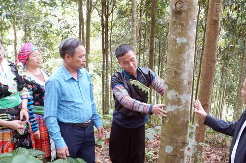 Hưng Khánh: Tạo nền tảng cho nông nghiệp phát triển bền vững