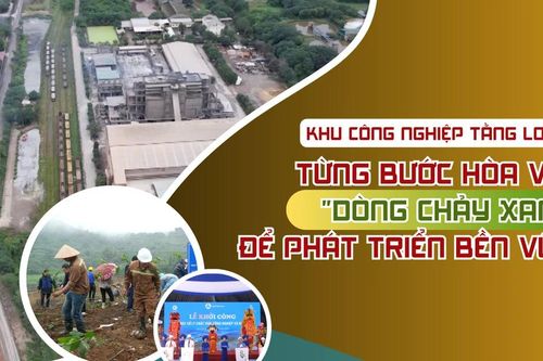 Từng bước hòa vào 'dòng chảy xanh' để phát triển bền vững