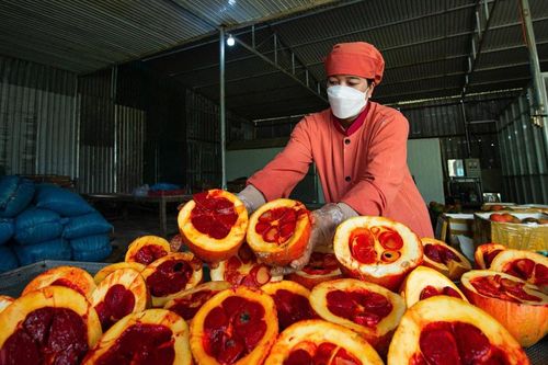 Khi 'lá phiếu' thị trường nghiêng về bền vững