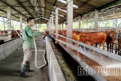 Sử dụng điện hiệu quả trong chăn nuôi