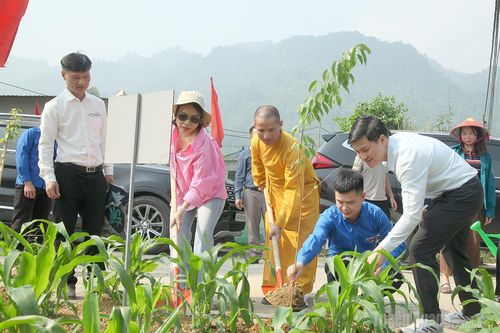 Chương trình 'Biên cương xanh' tại xã Quản Bạ