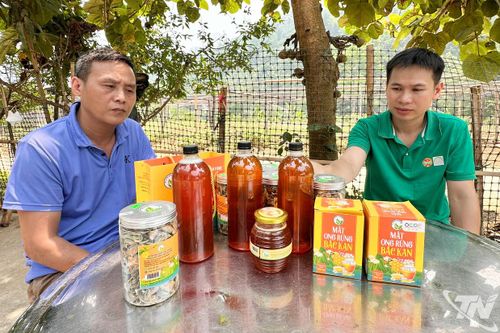 Gia tăng giá trị, sức cạnh tranh cho nông sản