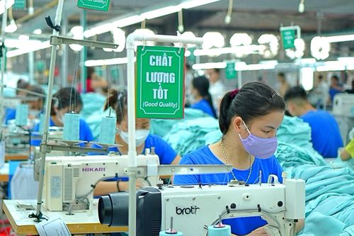 Tăng trưởng bứt phá, Dệt may TNG đẩy mạnh thâm nhập sâu chuỗi cung ứng toàn cầu