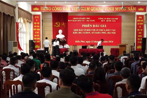 Giá đất đấu giá tại Kiều Phú lập đỉnh hơn 134 triệu đồng/m²