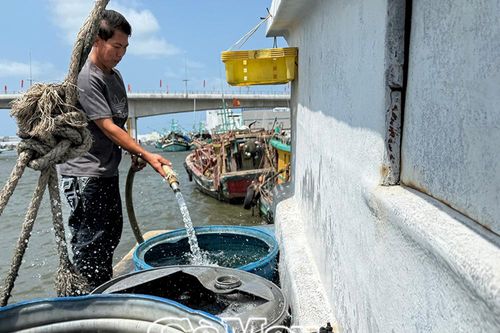 Cà Mau nỗ lực ứng phó hạn mặn, khan hiếm nước sạch