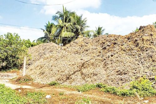 Ngăn chặn tình trạng khai thác trái phép đất mặt ruộng
