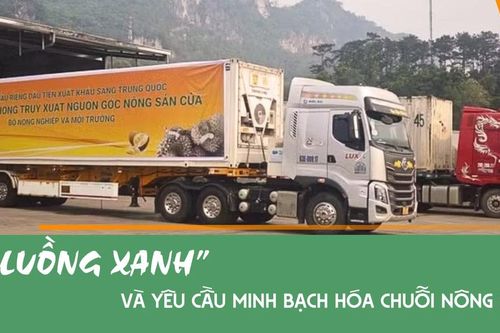 'Luồng xanh' và yêu cầu minh bạch hóa chuỗi nông sản