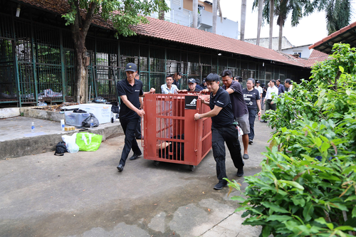 Cứu hộ thành công 4 cá thể gấu được tự nguyện chuyển giao từ TP Hồ Chí Minh
