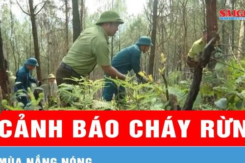 Cảnh báo cháy rừng mùa nắng nóng