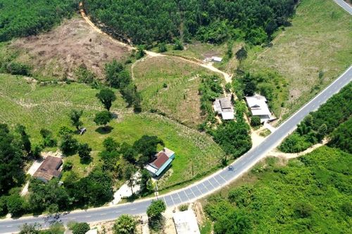 TP Huế thí điểm phân luồng xe tải nặng theo khung giờ tại Quốc lộ 49