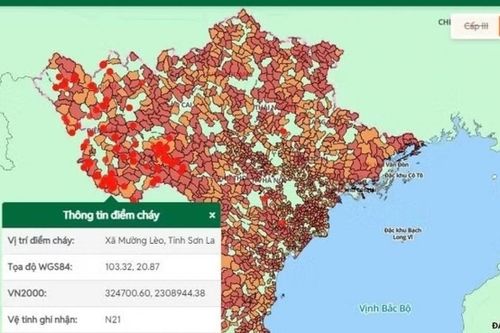 Nắng nóng gay gắt, nguy cơ cháy rừng ở mức cao