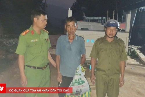 Người đàn ông thoát chết khi đi lạc trong rừng nhiều ngày
