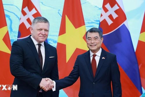 Thủ tướng Lê Minh Hưng hội đàm với Thủ tướng Slovakia Robert Fico