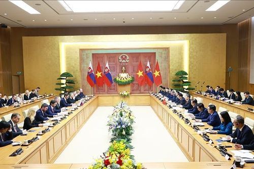 Thủ tướng Lê Minh Hưng hội đàm với Thủ tướng Slovakia Robert Fico