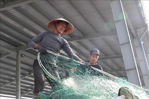 Ngư dân kiên trì bám biển trước áp lực giá nhiên liệu tăng