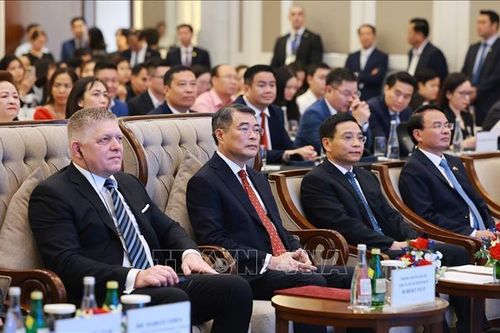 Thủ tướng Lê Minh Hưng và Thủ tướng Robert Fico dự Diễn đàn doanh nghiệp Slovakia – Việt Nam