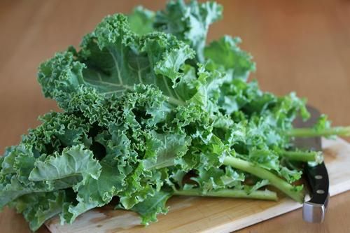 Vai trò của rau họ Cải trong xử lý kim loại nặng trong đất
