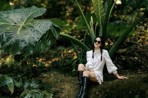Du khách hóa 'người tí hon' giữa rừng Cúc Phương