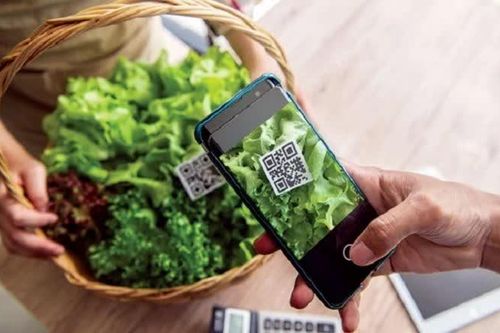 TP Hồ Chí Minh xây dựng cổng dữ liệu sản phẩm thu hồi toàn cầu, siết quản lý hàng nhập khẩu