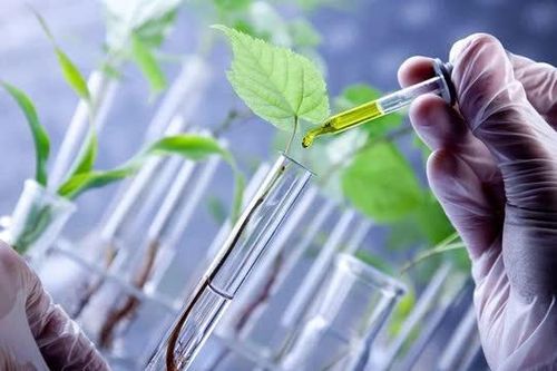Ứng dụng công nghệ sinh học: Hướng đi bền vững từ tài nguyên bản địa