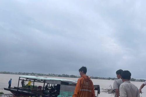 Đồng Tháp: Sạt lở uy hiếp vùng sầu riêng 500ha