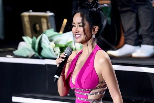 Diva Hồng Nhung khóc nấc trên sân khấu, nghẹn ngào không hát nên lời