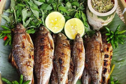 Loại cá được ví như 'lộc trời' ở Quảng Ngãi, thịt ngọt như mì chính tự nhiên nhưng ít người biết