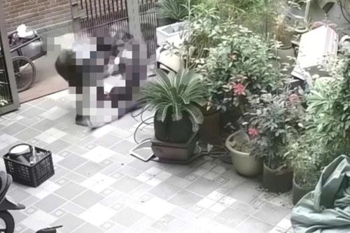 Nguyên nhân vụ chồng túm tóc, kéo lê vợ từ cổng vào nhà, hành hung trước mặt con nhỏ