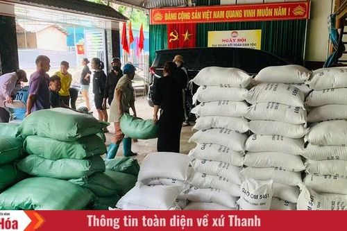 Thanh Hóa hỗ trợ hơn 112 tấn gạo cho người dân tham gia bảo vệ, phát triển rừng