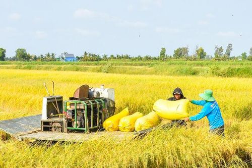 Vĩnh Bình đưa khoa học vào đồng ruộng