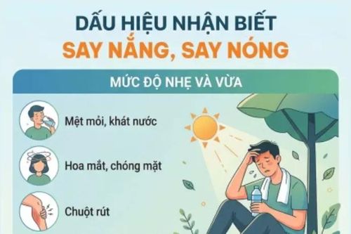 Dấu hiệu nhận biết say nắng, say nóng
