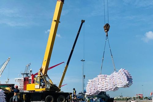 Giá phân bón hôm nay 13/4/2026: DAP, Ure, NPK, Kali và Lân ổn