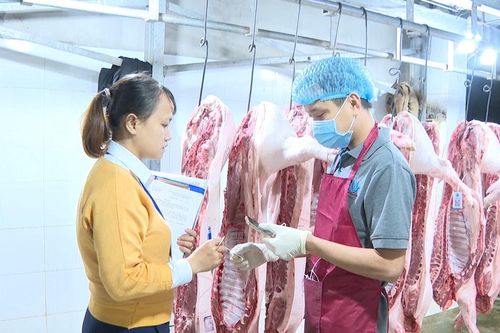 Đà Nẵng yêu cầu tăng cường kiểm soát giết mổ, ngăn chặn thịt gia súc, gia cầm bệnh