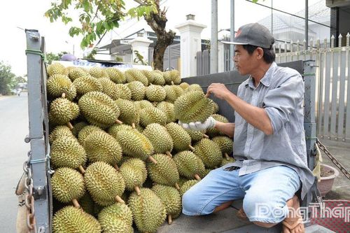Tháo gỡ 'điểm nghẽn' trong xuất khẩu nông sản