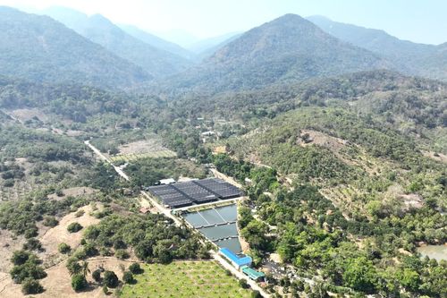 Mô hình nuôi cá tầm ở xã Bác Ái Tây: Khai thác tốt lợi thế vùng cao