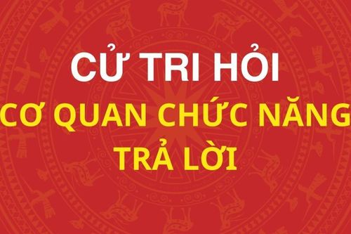 Trả lời cử tri về lĩnh vực giao thông
