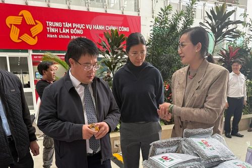 Luật Chuyển giao công nghệ mới: 'Cú hích' cho kinh tế xanh và đổi mới sáng tạo